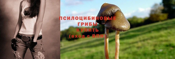 таблы Алзамай