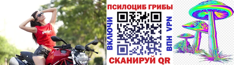 Псилоцибиновые грибы Magic Shrooms  закладка  блэк спрут маркетплейс  Дно 